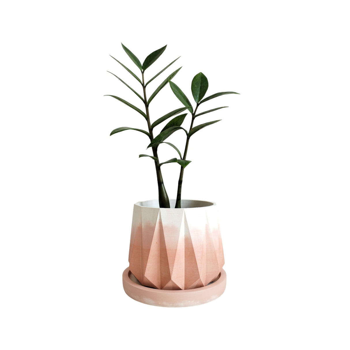 Matera de mesa Mediana Lirio Rosa y Blanco 11x10cm Cónica - MATERAS Y MACETAS | Bylmo