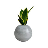 Matera de mesa Mediana Luna Gris 15x13cm Cónica - MATERAS Y MACETAS | Bylmo