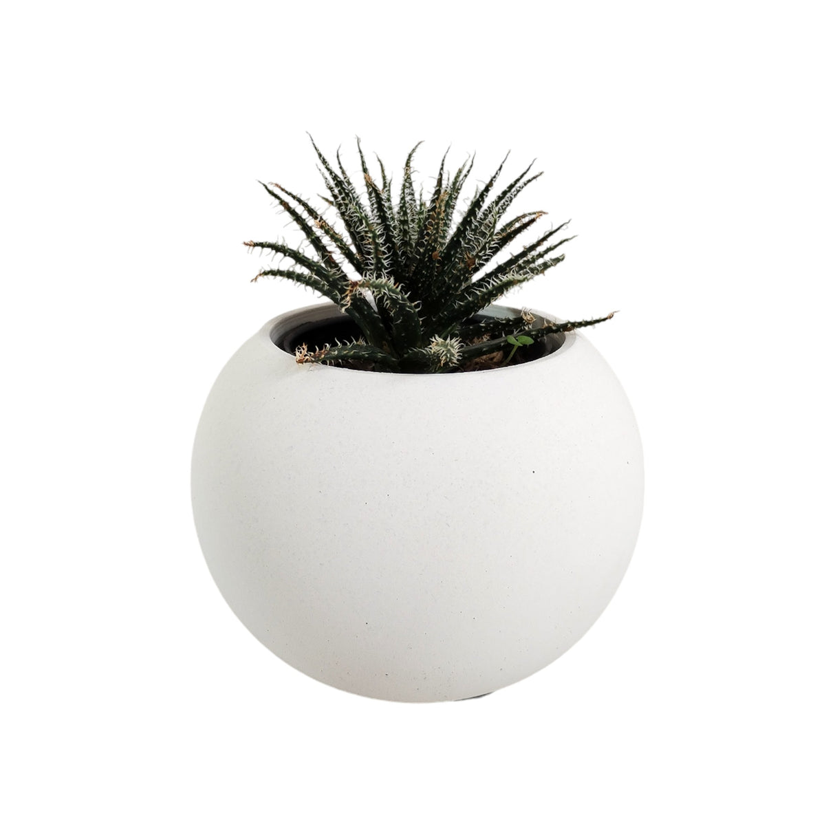 Matera de mesa Pequeña Luna Blanco 9x6.5cm Cónica - MATERAS Y MACETAS | Bylmo