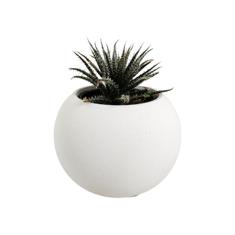 Matera de mesa Pequeña Luna Blanco 9x6.5cm Cónica - MATERAS Y MACETAS | Bylmo