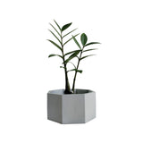 Matera de mesa Mediana Terrario Gris 18x8.5cm Hexagonal - MATERAS Y MACETAS | Bylmo