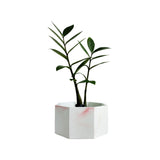 Matera de mesa Mediana Terrario Mármol rosa 18x8.5cm Hexagonal - MATERAS Y MACETAS | Bylmo