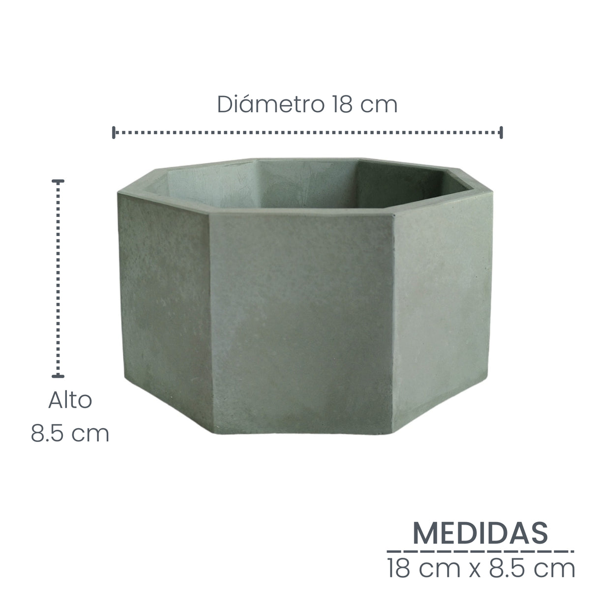 Matera de mesa Mediana Terrario Verde Oliva 18x8.5cm Hexagonal - MATERAS Y MACETAS | Bylmo