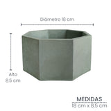 Matera de mesa Mediana Terrario Verde Oliva 18x8.5cm Hexagonal - MATERAS Y MACETAS | Bylmo