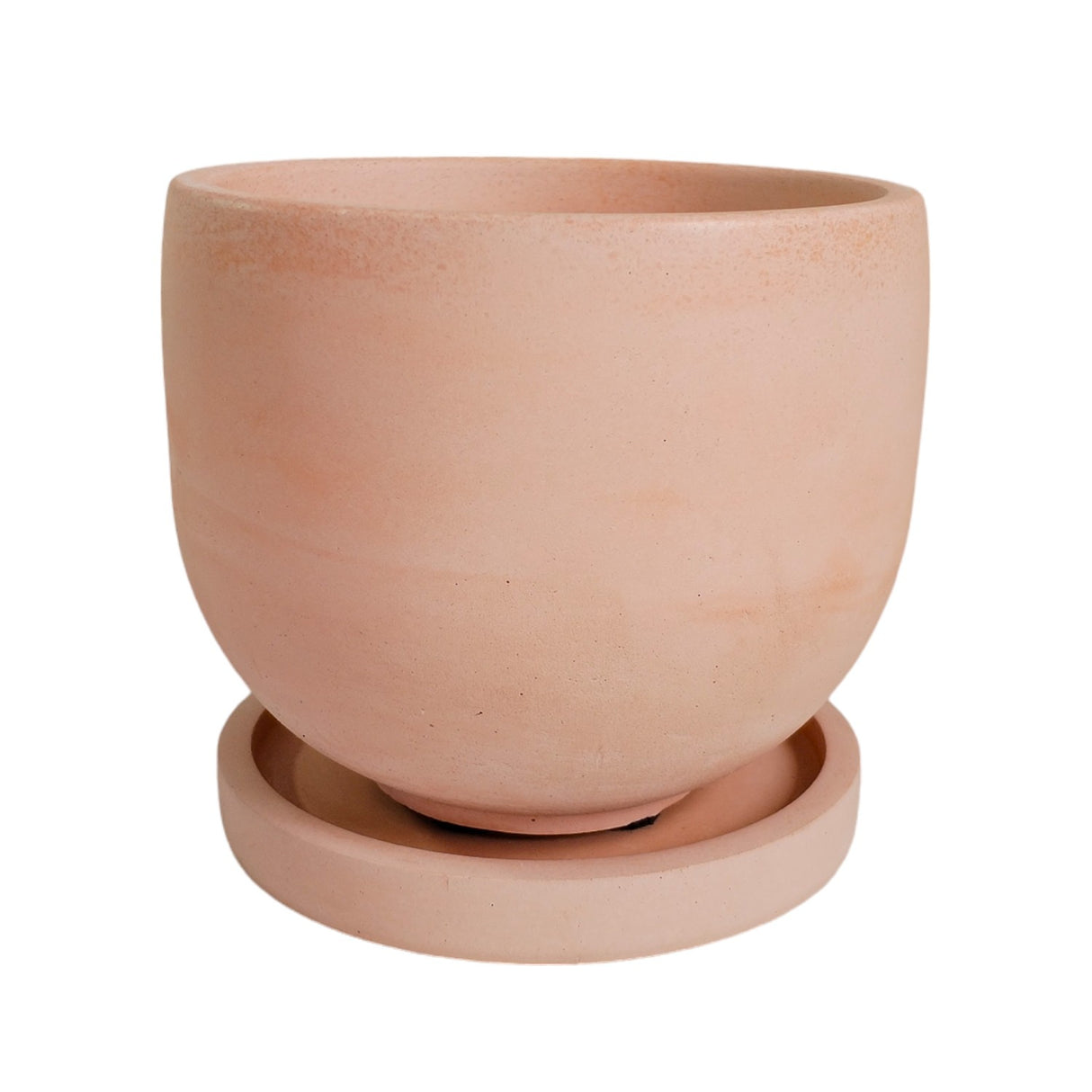 Matera de mesa Mediana María Palo de Rosa 14.5x13cm Cónica - MATERAS Y MACETAS | Bylmo