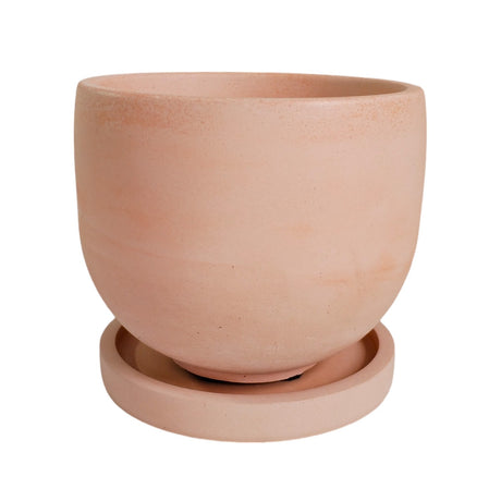 Matera de mesa Mediana María Palo de Rosa 14.5x13cm Cónica - MATERAS Y MACETAS | Bylmo