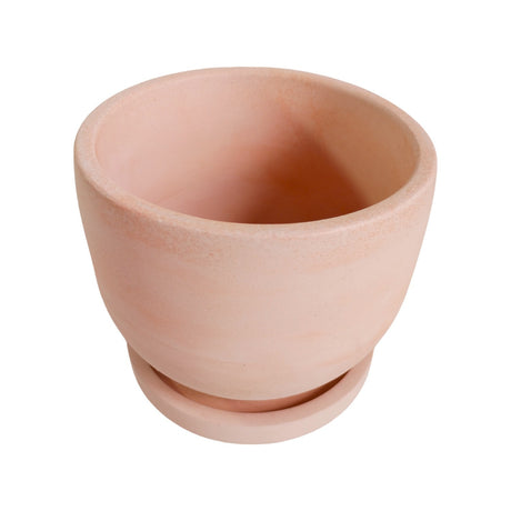 Matera de mesa Mediana María Palo de Rosa 14.5x13cm Cónica - MATERAS Y MACETAS | Bylmo