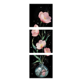 Set 3 Cuadros Decorativos Moderno Floral 35x35cm - CUADROS | Bylmo