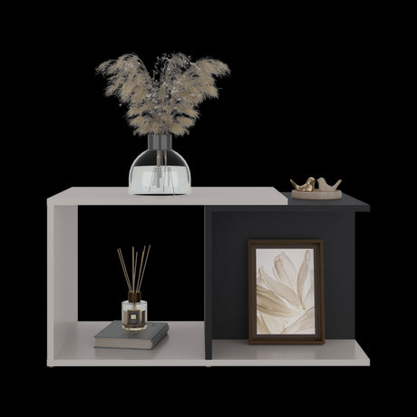 Mesa de Centro Cuera Capri y Wengue 75x3905cm Rectangular con Compartimientos - MESAS DE CENTRO | Bylmo