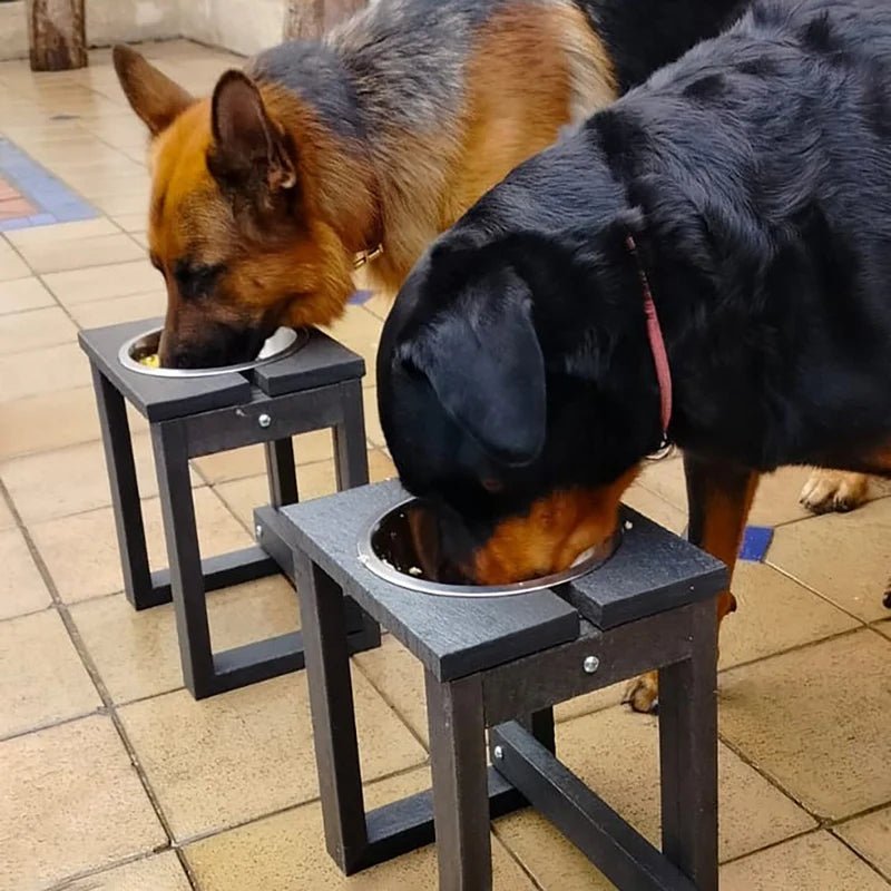 Comedero Ekopet Negro 28x32cm con un Tazón y para Perro Grande - COMEDEROS PARA MASCOTAS | Bylmo