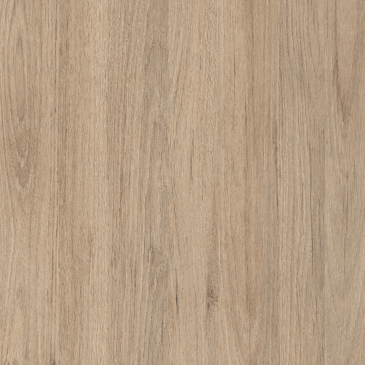 Puerta Rovere 80x225cm Melaminado sin Marco y sin Chapa - PUERTAS | Bylmo