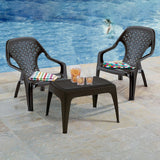 Silla Playera Rimax Wengue 60.1x74.8cm con Apoya Brazos y con Espaldar - SILLAS DE EXTERIOR | Bylmo