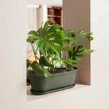 Matera de Mesa Rimax Rafia Verde Musgo 60.2x19.6cm Ovalado con Orificio de Drenaje - MATERAS DE MESA | Bylmo