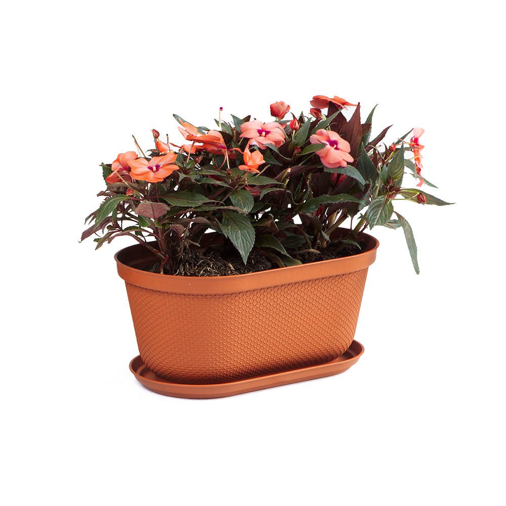 Matera de Mesa Rimax Rafia Terracota 40.5x18.1cm Ovalado con Orificio de Drenaje - MATERAS DE MESA | Bylmo