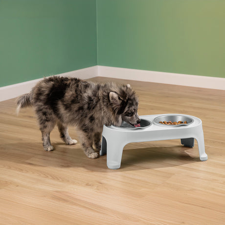 Comedero Alto para Perros Rimax Gris Hielo 44.5x16.5cm Para Perros Pequeños - COMEDEROS Y BEBEDEROS PARA MASCOTAS | Bylmo