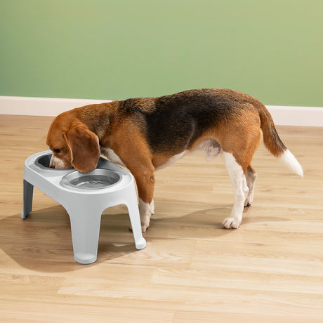 Comedero Alto para Perros Rimax Gris Hielo 44.5x21.7cm Para Perros Medianos - COMEDEROS Y BEBEDEROS PARA MASCOTAS | Bylmo