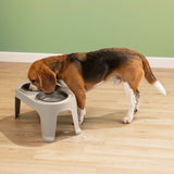 Comedero Alto para Perros Rimax Taupe 44.5x21.7cm Para Perros Medianos - COMEDEROS Y BEBEDEROS PARA MASCOTAS | Bylmo