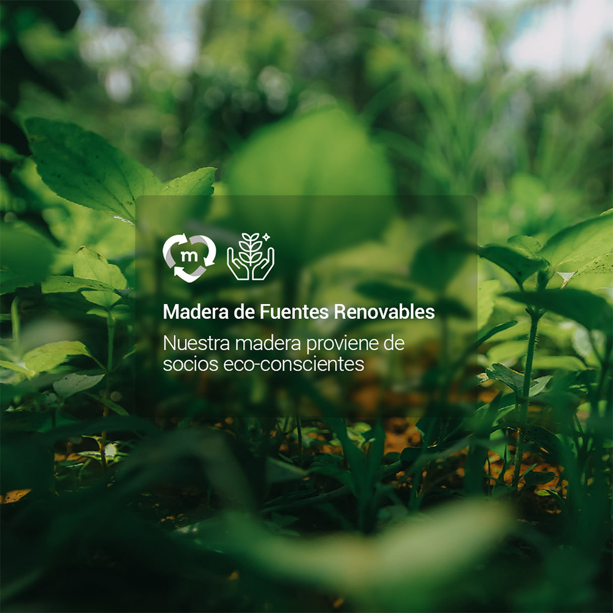 Zapatero Isis Negro 60x182cm Vertical de Siete Niveles