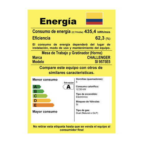 Estufa Challenger Cucina Gris 76x93cm de Gas Natural con Cinco Quemadores y con Temporizador - ESTUFAS | Bylmo