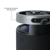 Parlante Portátil Challenger Negro 20.6x38.5cm con Bluetooth - PARLANTES | Bylmo