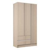 Closet Armario AM20223 Arena y Blanco 91x180cm con Dos Puertas y Dos Cajones - CLOSETS | Bylmo