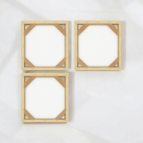 Cuadro decorativo en 3 Piezas Floral Natural Orgánico 34x34cm cada Uno - CUADROS | Bylmo