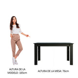 Mesa de Comedor Negro 136x76cm Rectangular de Seis Puestos sin Sillas