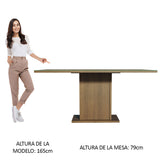Mesa de Comedor Marrón 160x80cm Rectangular de Seis Puestos sin Sillas y con Vidrio