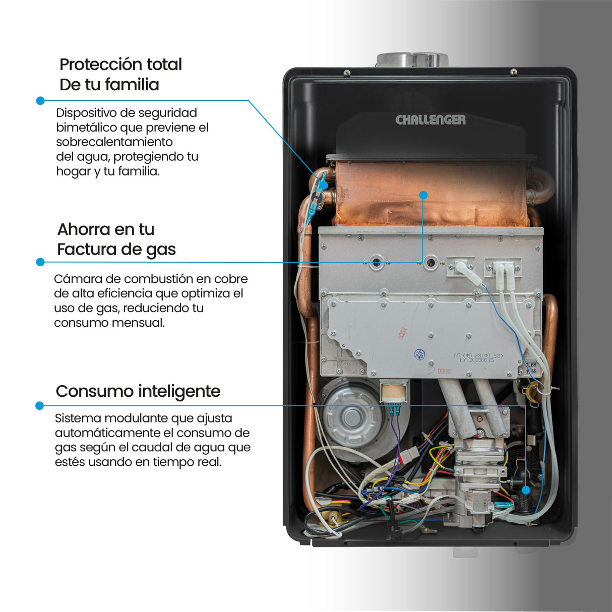 Calentador de Agua Challenger Negro 39x61.5cm De Paso Tiro Forzado para Gas Natural con Pantalla Digital