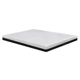 Combo Colchón Enrollado Gravity E15 Blanco Semidoble 120 X 190 Cm Ortopedico Firmeza Medio con Dos Almohada Stellar Soft y Un Protector de Colchón