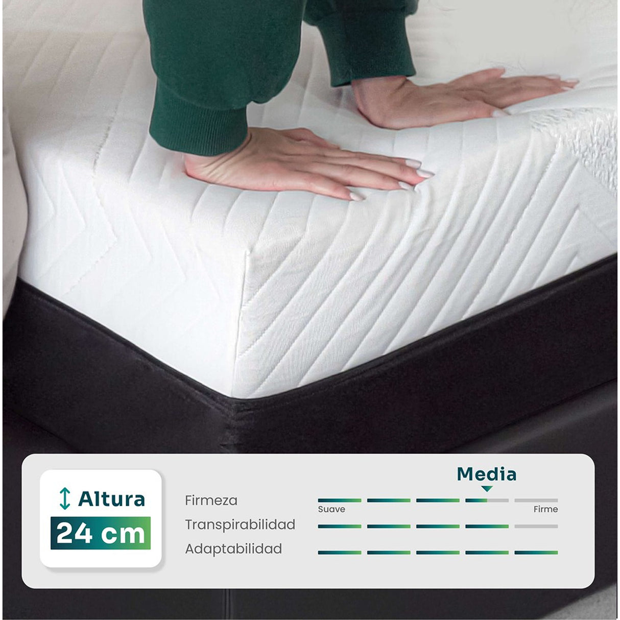 Combo Colchón Enrollado Gravity P24 Blanco Sencillo 100 X 190 Cm Ortopedico Firmeza Medio con Una Almohada Stellar Soft y Un Protector de Colchón