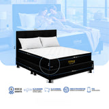 Combo Colchón Enrollado y Base Cama Versalles Negro Queen 160 X 190 Cm Medio Suave Ortopédico e Hipoalergénico