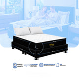 Combo Base Cama y Colchón Enrollado Versalles Blanco y Negro Queen 160 X 190 Cm Medio Suave