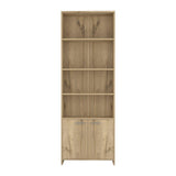 Biblioteca Lisa Duna 63x180cm con Cuatro Compartimientos y con Un Cajón