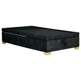 Base Cama Calabria Queen 160 cm Gris con Baúl - Camas y Cabeceros | Bylmo
