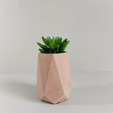 Florero Amalas Palo de Rosa 7 cm Minimalista - Jardineria | Bylmo