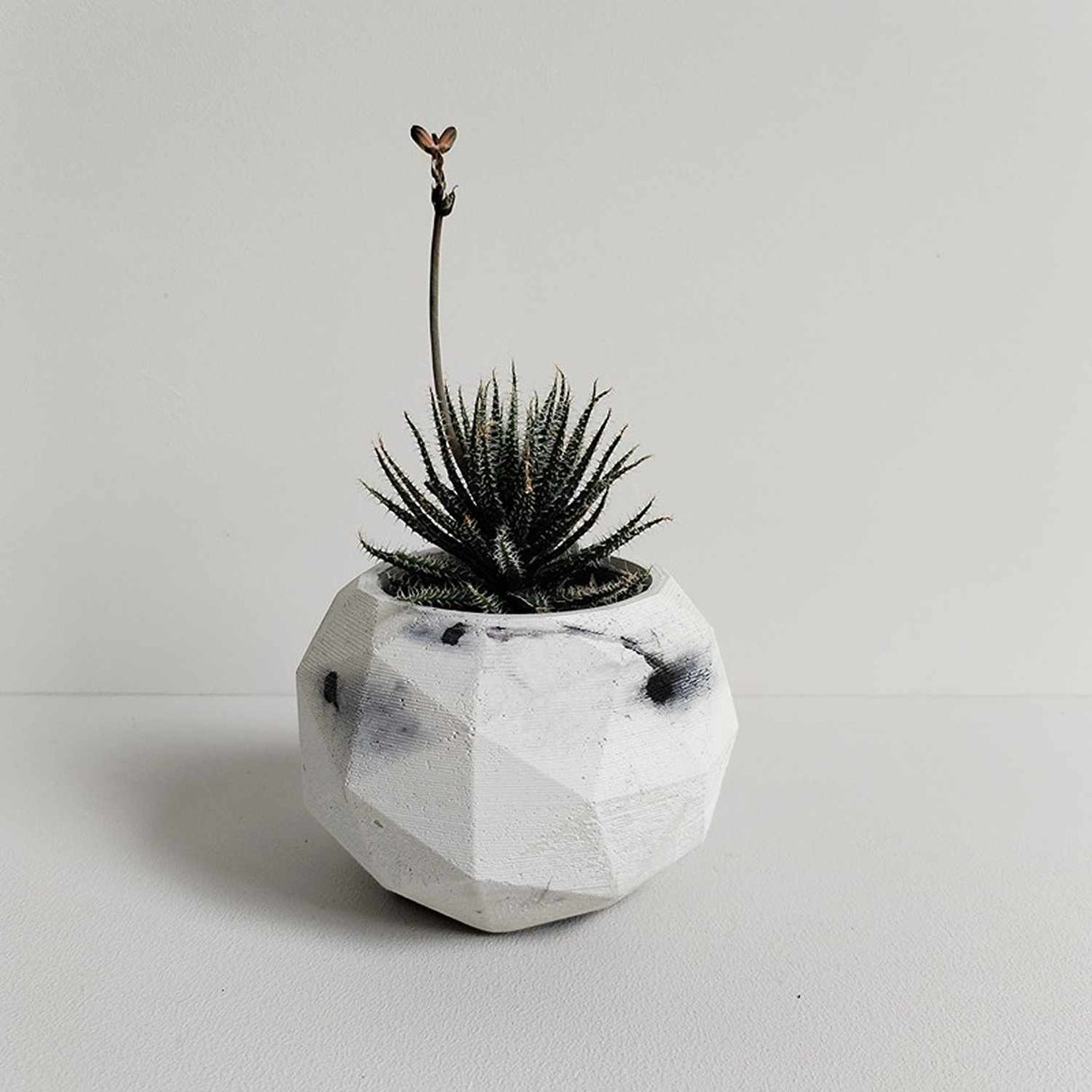 Matera de mesa Laia Mármol Negro 7x8cm de Cemento Circular de 0.3 Litros - Jardineria | Bylmo
