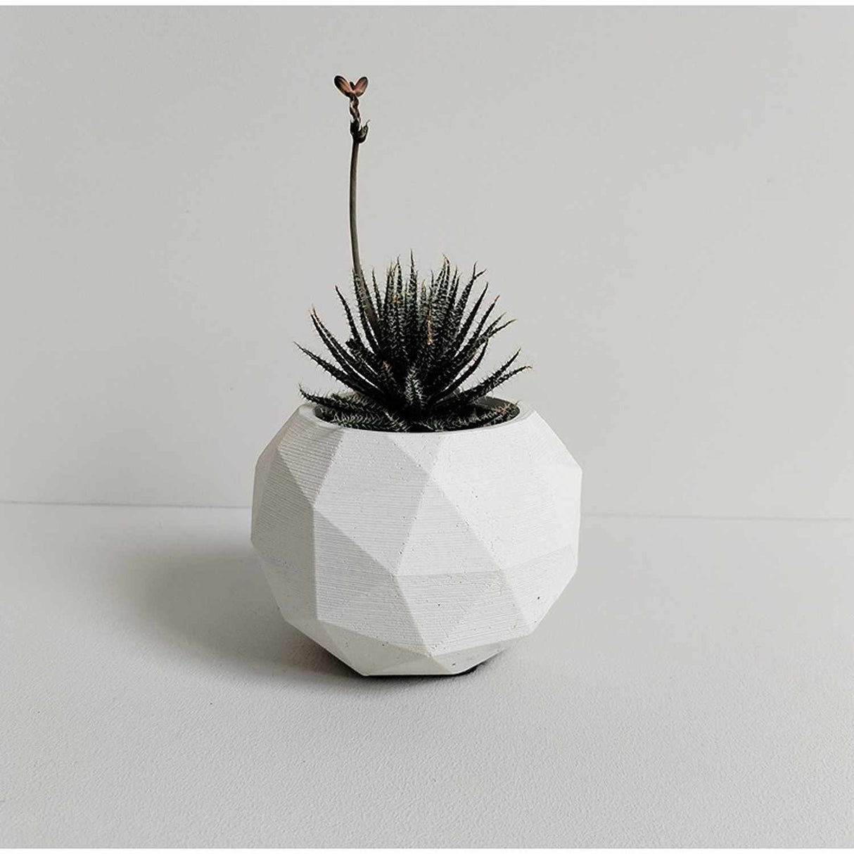 Matera de mesa Laia Blanco 7x8cm de Cemento Circular de 0.3 Litros - Jardineria | Bylmo