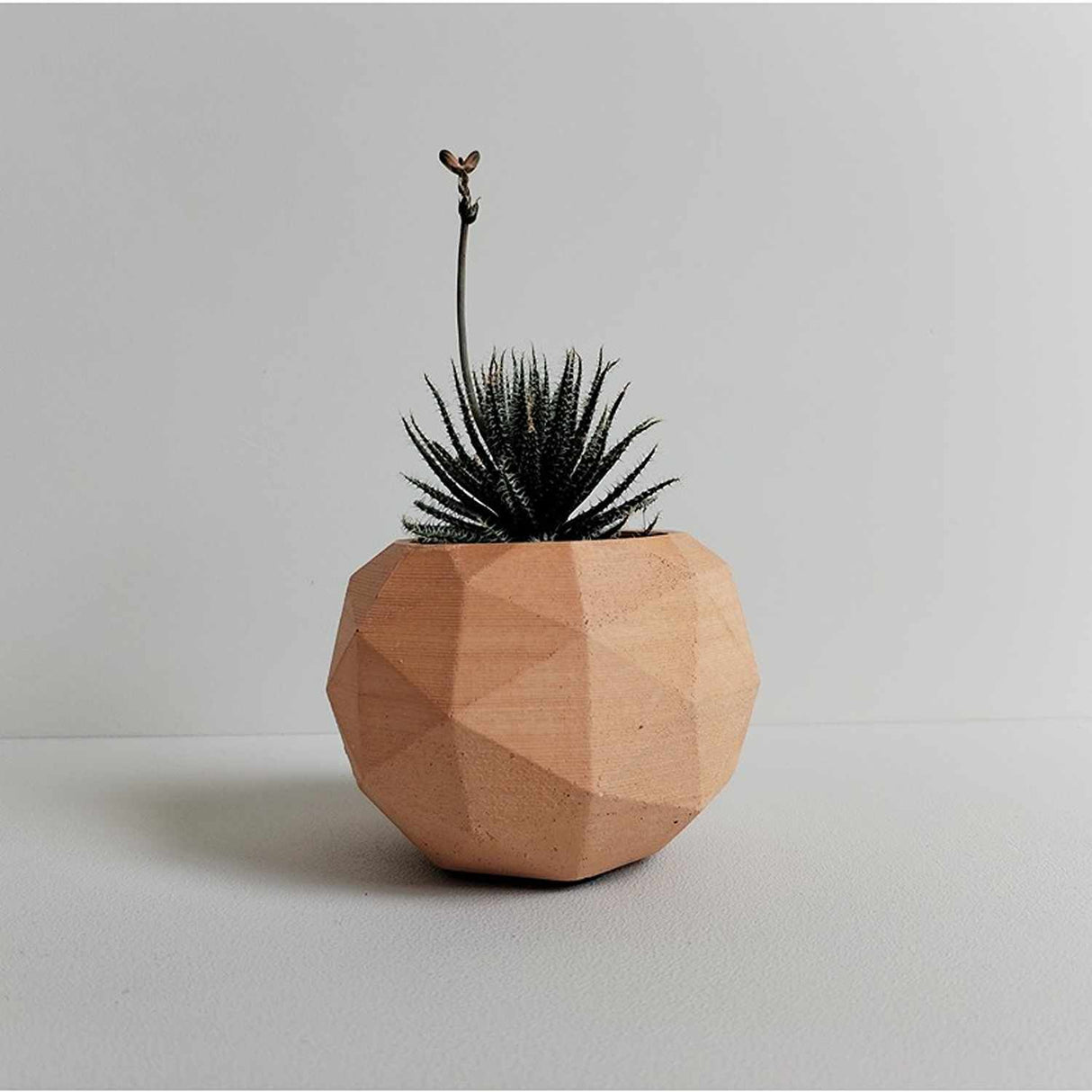 Matera de mesa Laia Terracota 7x8cm de Cemento Circular de 0.3 Litros - Jardineria | Bylmo