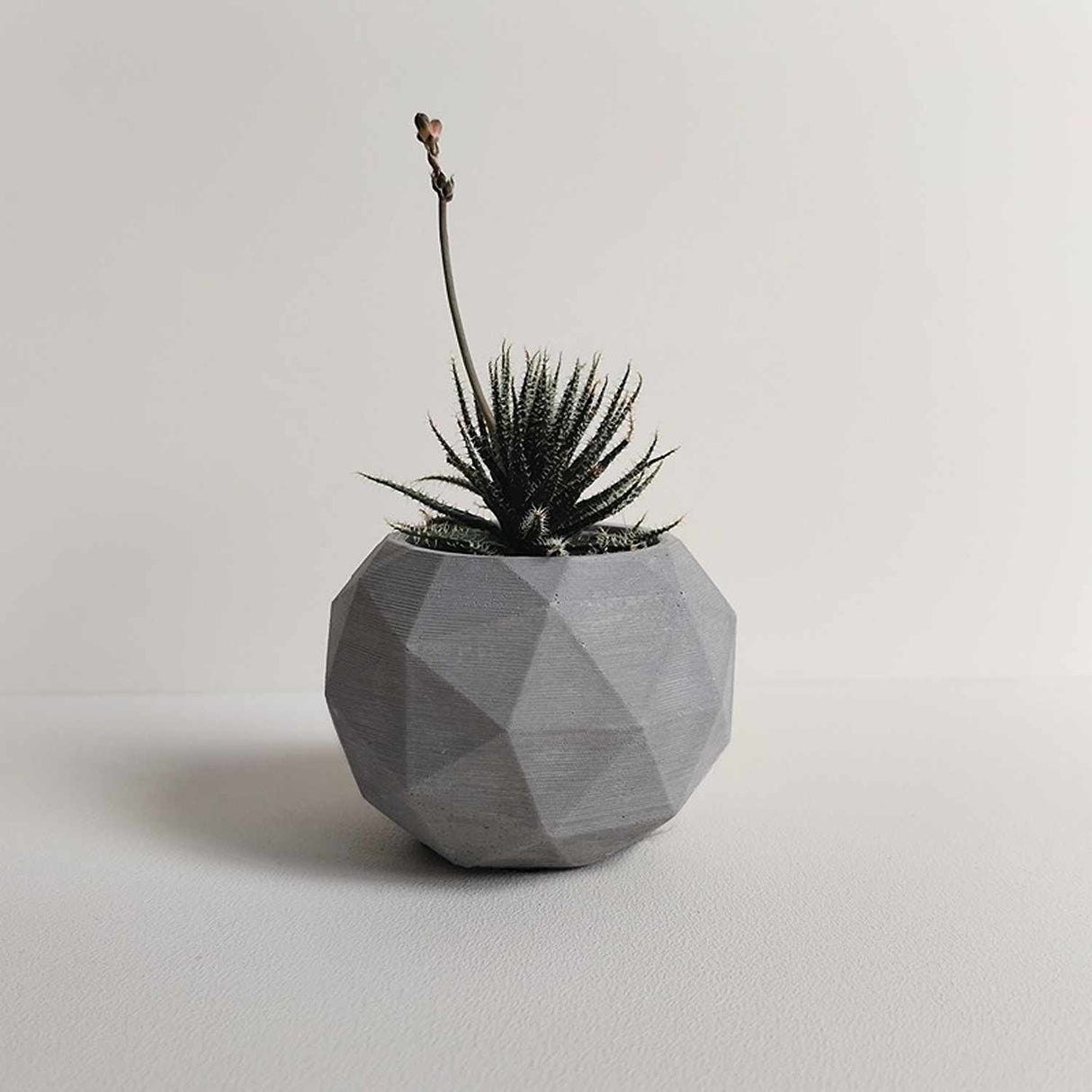 Matera de mesa Laia Gris 7x8cm de Cemento Circular de 0.3 Litros - Jardineria | Bylmo