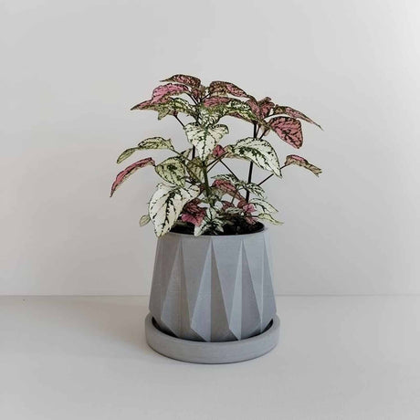 Matera de mesa Lirio Gris 10x2cm de Cemento Circular de 0.2 Litros - Jardineria | Bylmo