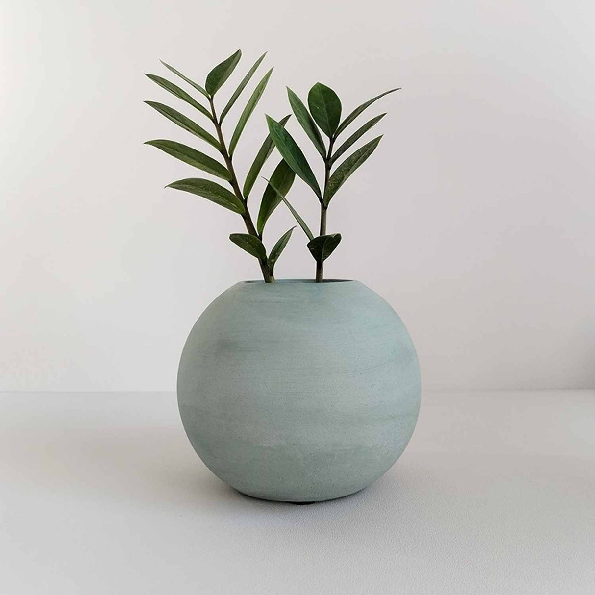 Matera de mesa Luna Verde Oliva 12x12cm de Cemento Circular de 1.4 Litros - Jardineria | Bylmo