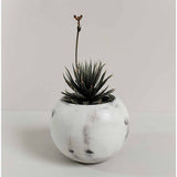 Matera de mesa Luna Mármol Negro 6x7cm de Cemento Circular de 0.2 Litros - Jardineria | Bylmo