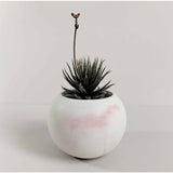 Matera de mesa Luna Mármol Rosa 6x7cm de Cemento Circular de 0.2 Litros - Jardineria | Bylmo