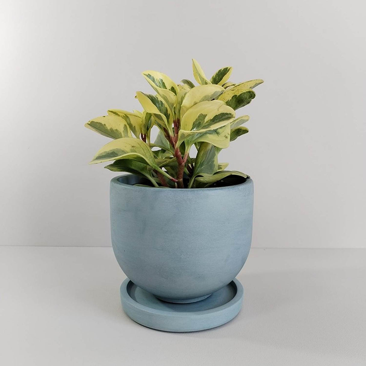 Matera de mesa María Azul Petróleo 15x13cm de Cemento Circular de 2.3 Litros - Jardineria | Bylmo