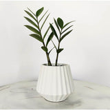 Matera de mesa Salma Blanco 12x11cm de Cemento Conica de 0.4 Litros - Jardineria | Bylmo