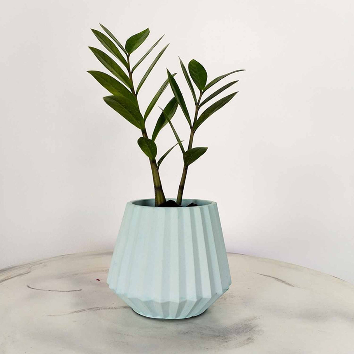 Matera de mesa Salma Aguamarina 12x11cm de Cemento Conica de 0.4 Litros - Jardineria | Bylmo