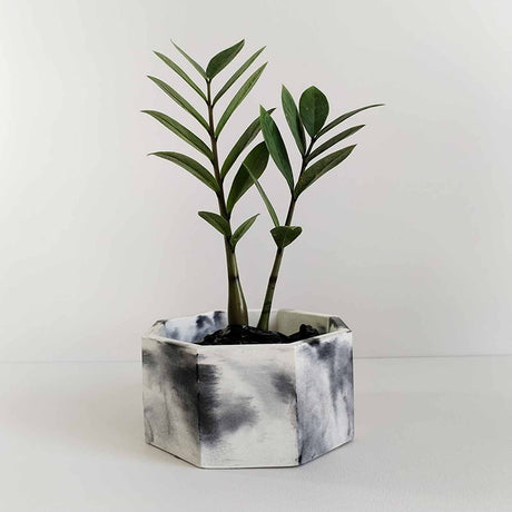 Matera de mesa Terrario Mármol Negro 18x9cm de Cemento Octagonal de 3.5 Litros - Jardineria | Bylmo