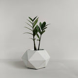 Matera de mesa Adara Blanco 18x11cm de Cemento Hexagonal de 2.3 Litros - Jardineria | Bylmo