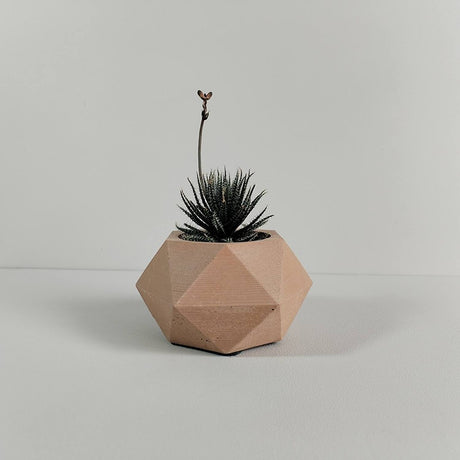 Matera de mesa Adara Petty Café 7x7cm de Cemento Hexagonal de 0.2 Litros - Jardineria | Bylmo